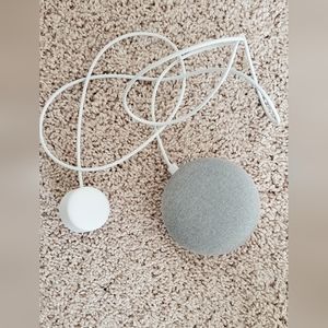 Google home voice assistant